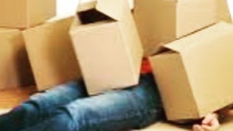 Zie je door het bos de bomen niet meer? Bij een verhuis komt heel wat kijken! Anthonissen verhuizingen staat u bij van begin tot einde. Van een GRATIS offerte aan huis, tot een professionele en volledige uitvoering. Hulp nodig bij het inpakken, onze inpakkers staan voor u klaar… vanaf 140€! Kijk op onze website voor alle info: www.wijverhuizen.be #amlbvba #verhuizingen #topservice #anthonissen #antwerpen