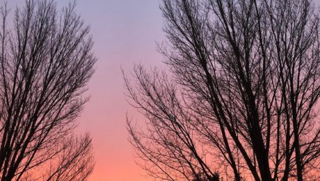 Wat een prachtige ochtend! Een fijne werkdag gewenst. #anthonissen #verhuis #sunrise #winter